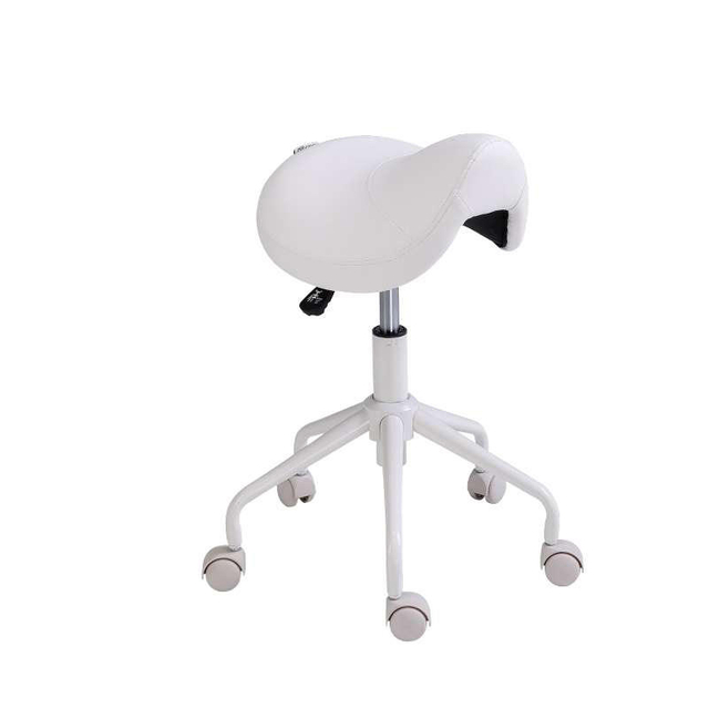 Tabouret de selle professionnel avec roulettes, ergonomique, pivotant, hauteur réglable, pour clinique, dentiste, Salon de beauté, tatouage, maison